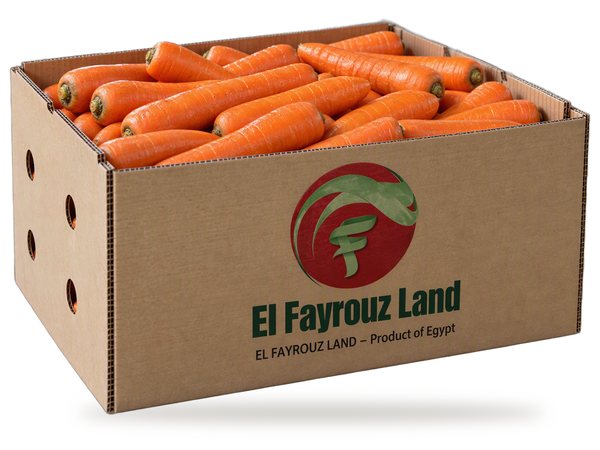 Carrots in an El Fayrouz Land carton