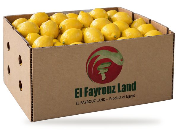 Lemons in an El Fayrouz Land carton