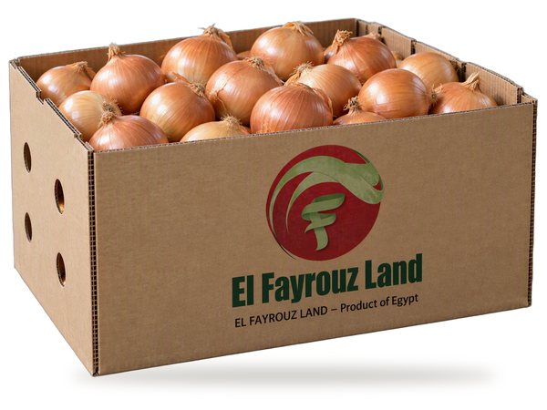 Onions in an El Fayrouz Land carton