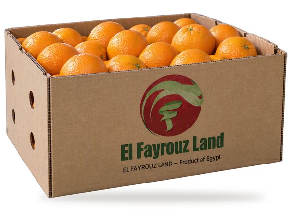 Oranges in an El Fayrouz Land carton